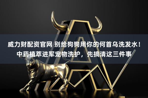 威力财配资官网 别给狗狗用你的何首乌洗发水！中药植萃进军宠物洗护，先搞清这三件事