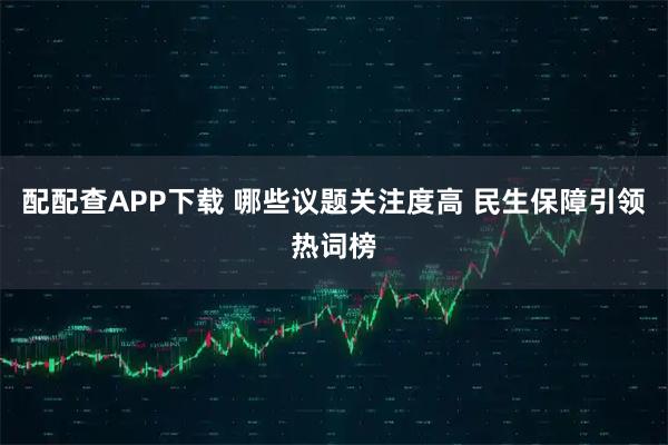 配配查APP下载 哪些议题关注度高 民生保障引领热词榜